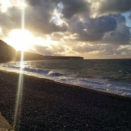A 100 M De La Mer Et Du Port ! Parking Privatif ! Daire Fécamp Dış mekan fotoğraf